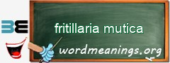 WordMeaning blackboard for fritillaria mutica